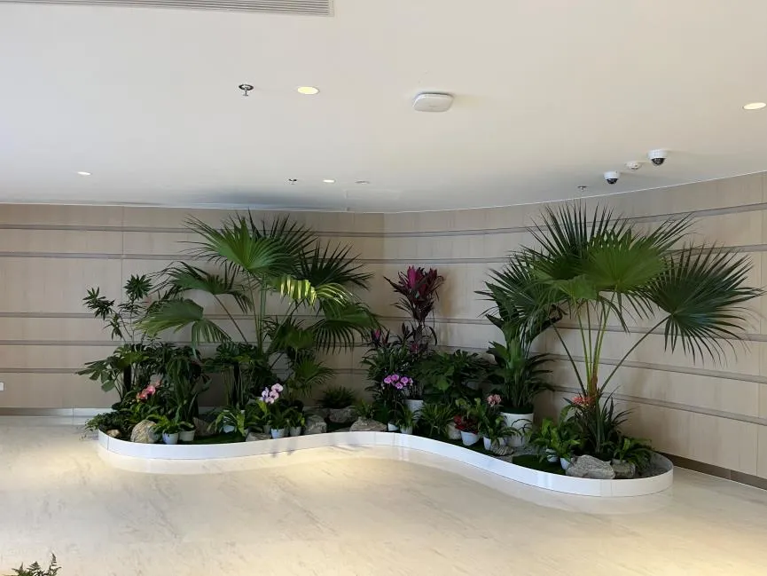 惊呆了！镇海花卉租赁，打造梦幻花卉世界的神奇魔法