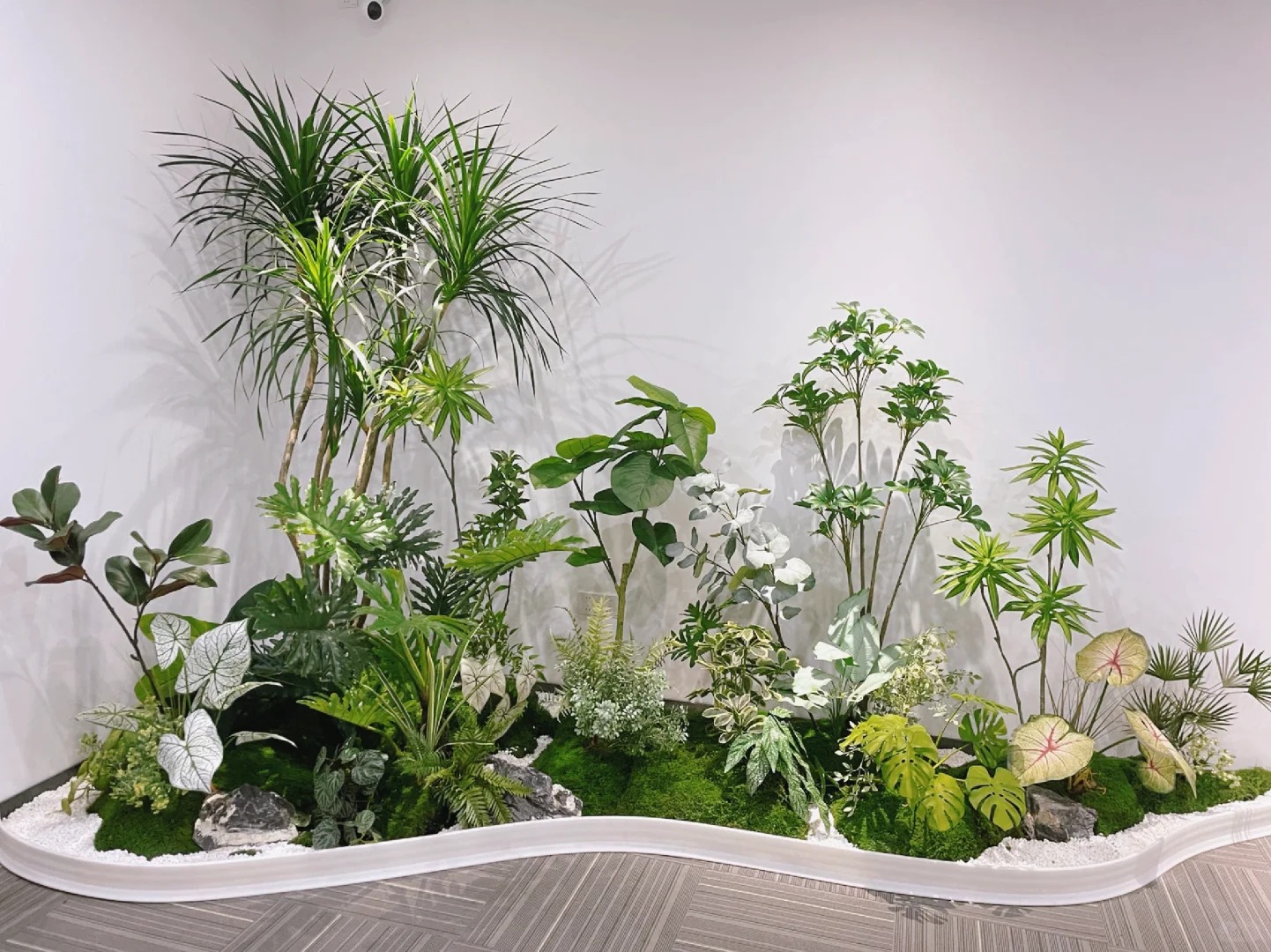 爱绿植就选宁波海曙绿植出租，品质之选！