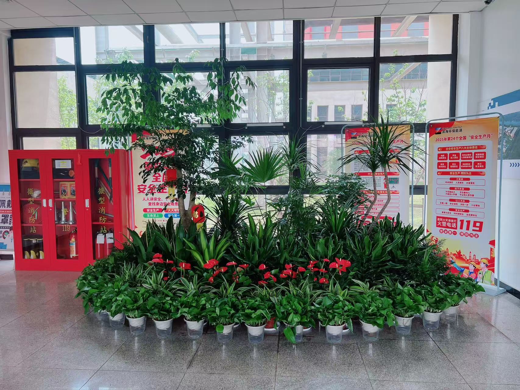 深挖宁波镇海花卉出租价格，不容错过