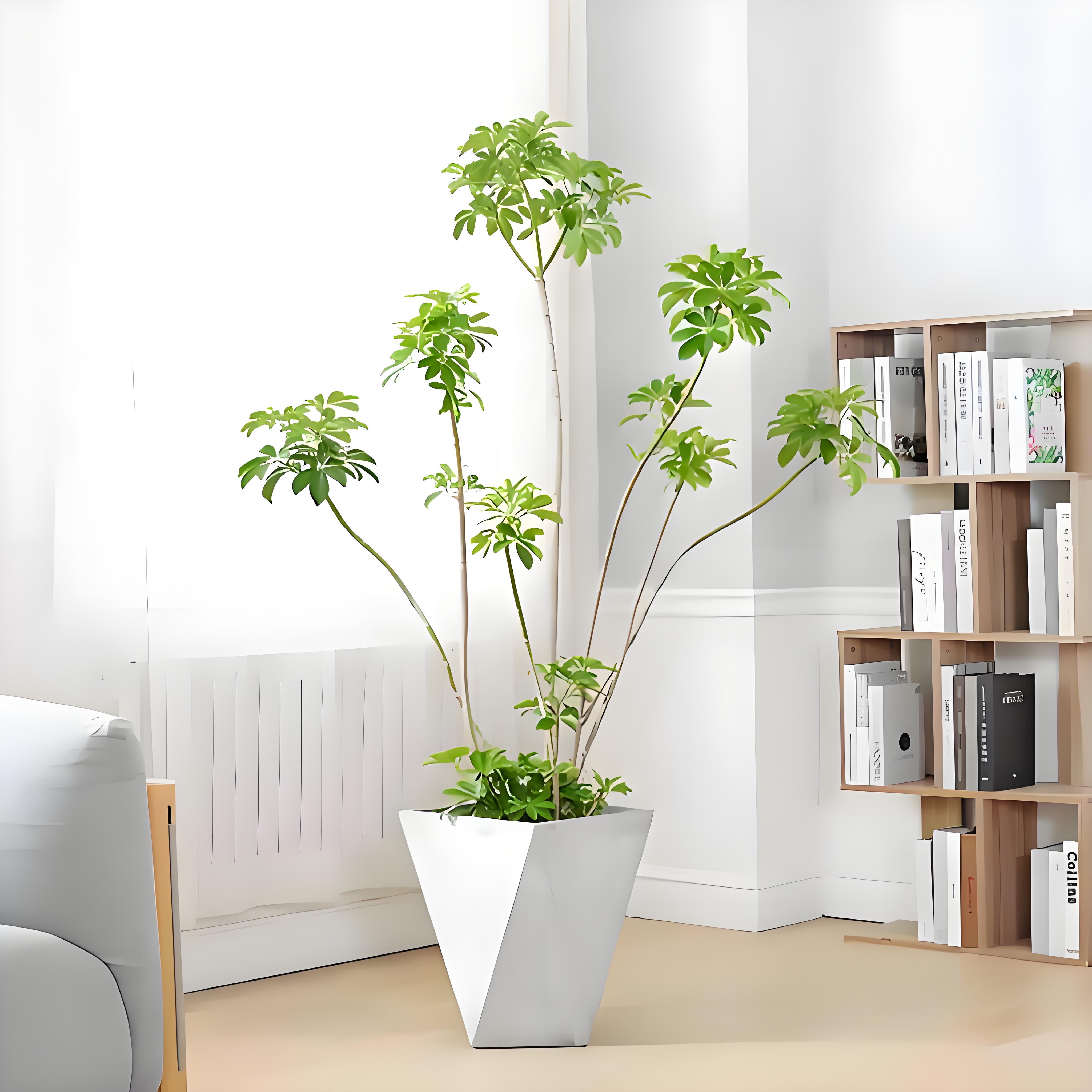 宁波杭州湾植物租摆价格实惠